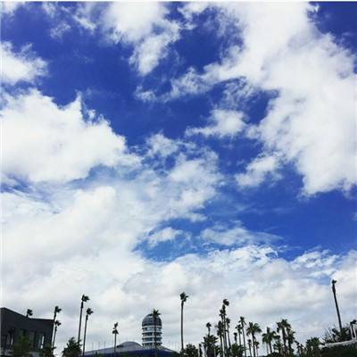 AOA体育下载手机版截图